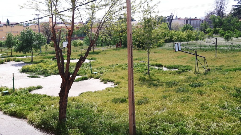 Primavera en el insti