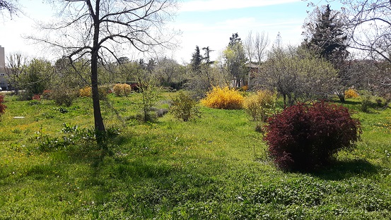 Finca Vista Alegre camino de la primavera